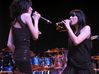 Filename=004_RamsHeadLive.jpg
Filesize=163KB
Dimensions=498x373
Date added=Sep 23, 2008 004_RamsHeadLive.jpg