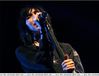 Filename=013.jpg
Filesize=48KB
Dimensions=498x382
Date added=Oct 14, 2008 013.jpg