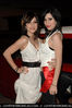 041_avmasredcarpet2006.jpg